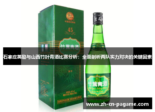 石家庄英励与山西竹叶青酒比赛分析：全面剖析两队实力对决的关键因素