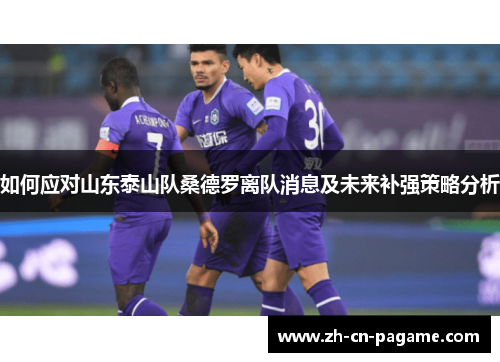如何应对山东泰山队桑德罗离队消息及未来补强策略分析