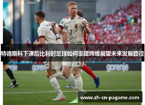 特德斯科下课后比利时足球如何重建辉煌展望未来发展路径
