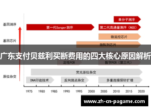 广东支付贝兹利买断费用的四大核心原因解析