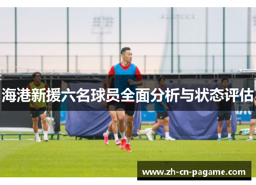 海港新援六名球员全面分析与状态评估