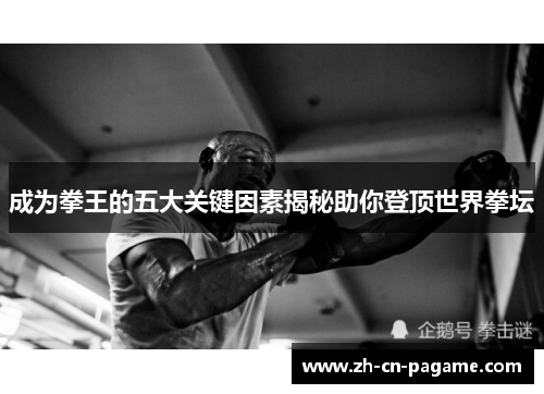 成为拳王的五大关键因素揭秘助你登顶世界拳坛