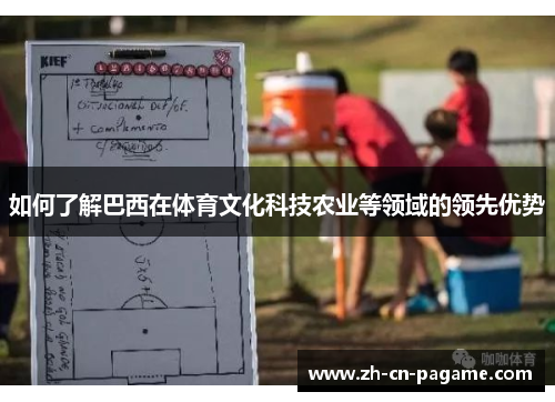 如何了解巴西在体育文化科技农业等领域的领先优势