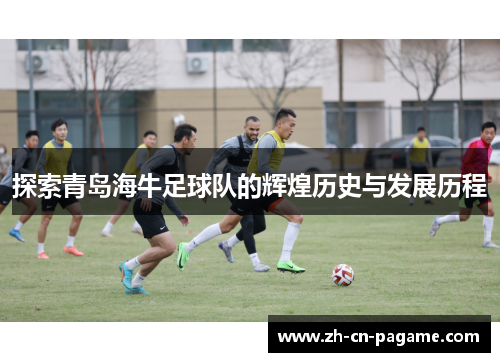 探索青岛海牛足球队的辉煌历史与发展历程