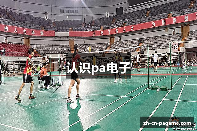 认识pa电子